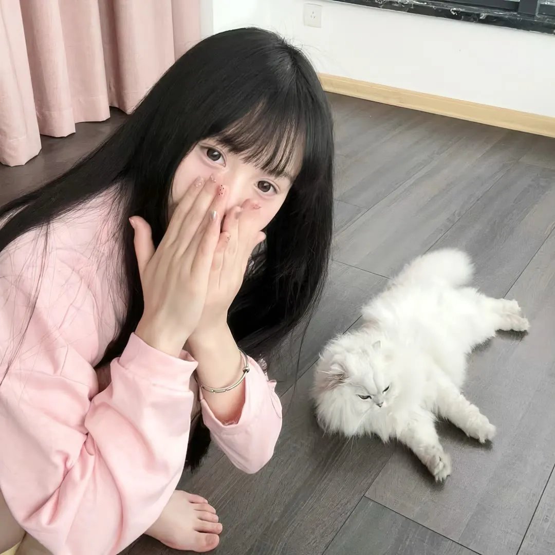 奇怪的猫咪